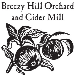 breezy hill square logo